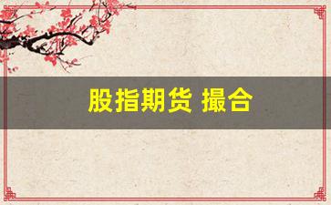 股指期货 撮合(股指期货合约是什么意思)_https://www.xzdzcjx.com_深交所_第1张